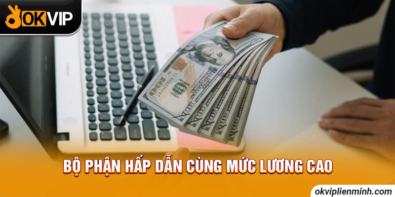 Bộ phận hấp dẫn cùng mức lương cao
