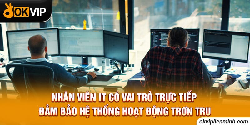 IT phải có kiến thức chuyên sâu về công nghệ thông tin